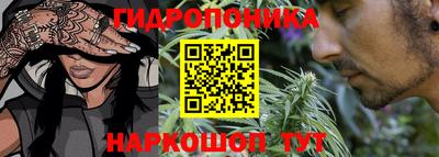 ECSTASY Бузулук