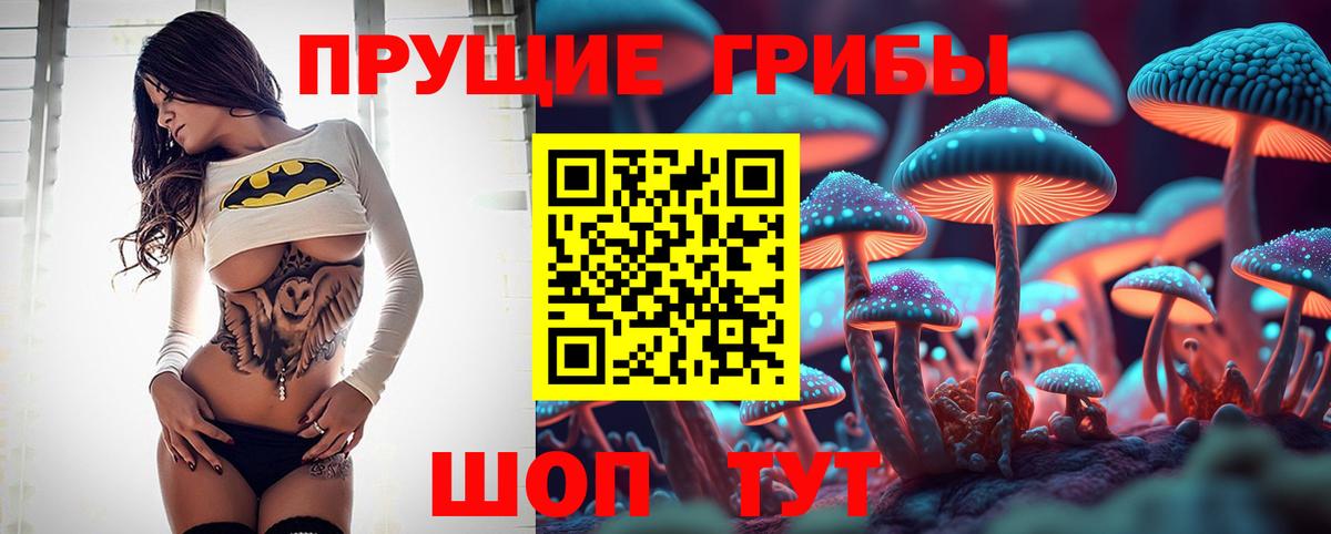 Галлюциногенные грибы ЛСД  Вход с VPN  Отрадный 